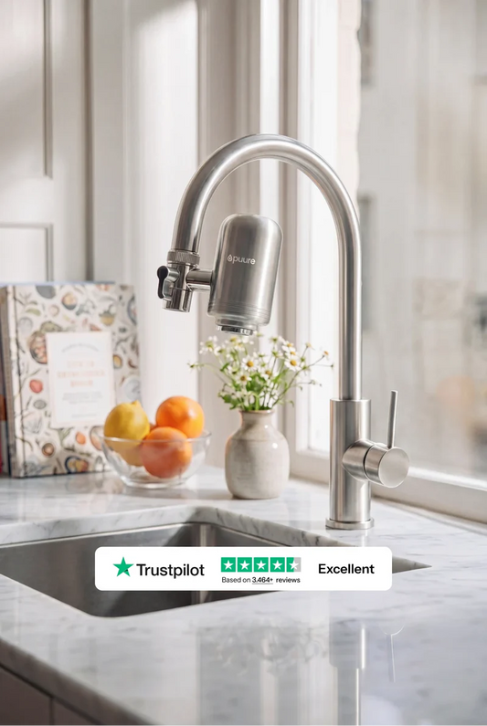 Système de filtration pour robinet