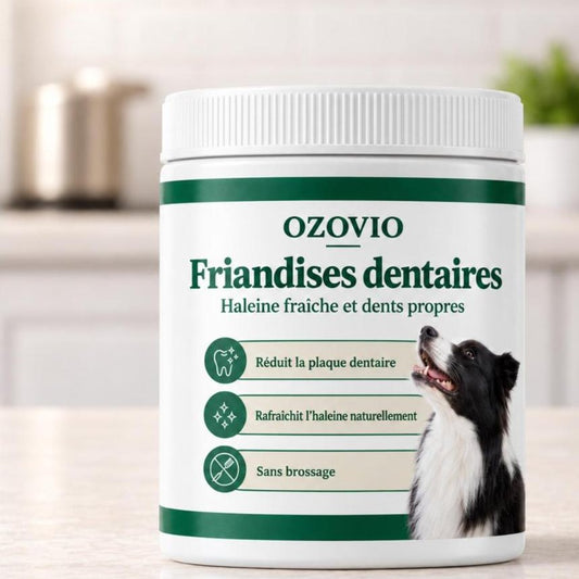 Pot OZOVIO Friandises dentaires